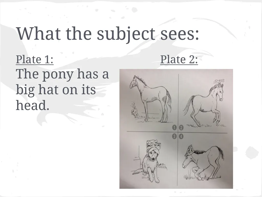 Peabody Individual Achievement Test- Revised - slide 7 of 14