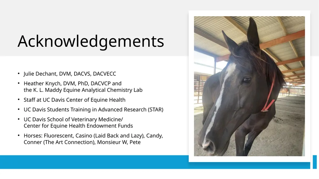 Pharmacokinetics and Pharmacodynamics of - slide 17 of 27