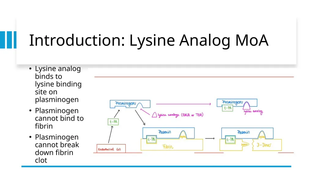 Pharmacokinetics and Pharmacodynamics of - slide 3 of 27