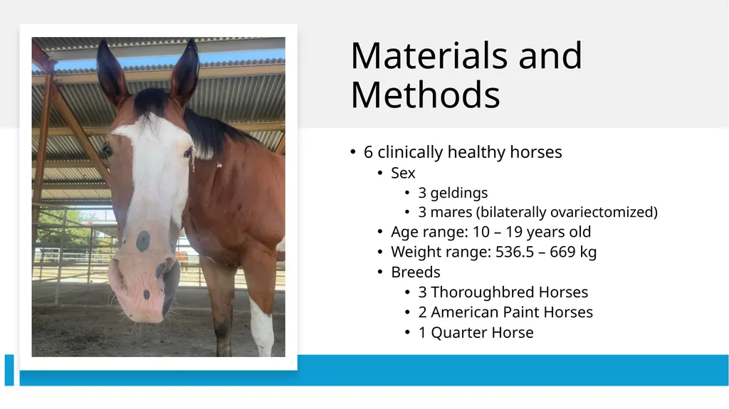 Pharmacokinetics and Pharmacodynamics of - slide 7 of 27