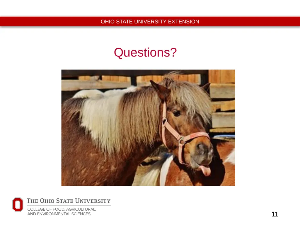 Basic Equine Wound Care Timothy McDermott DVM - slide 11 of 11