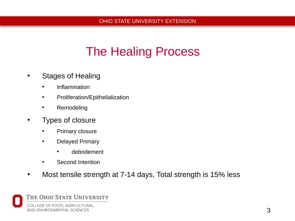 Basic Equine Wound Care Timothy McDermott DVM - slide 3 of 11
