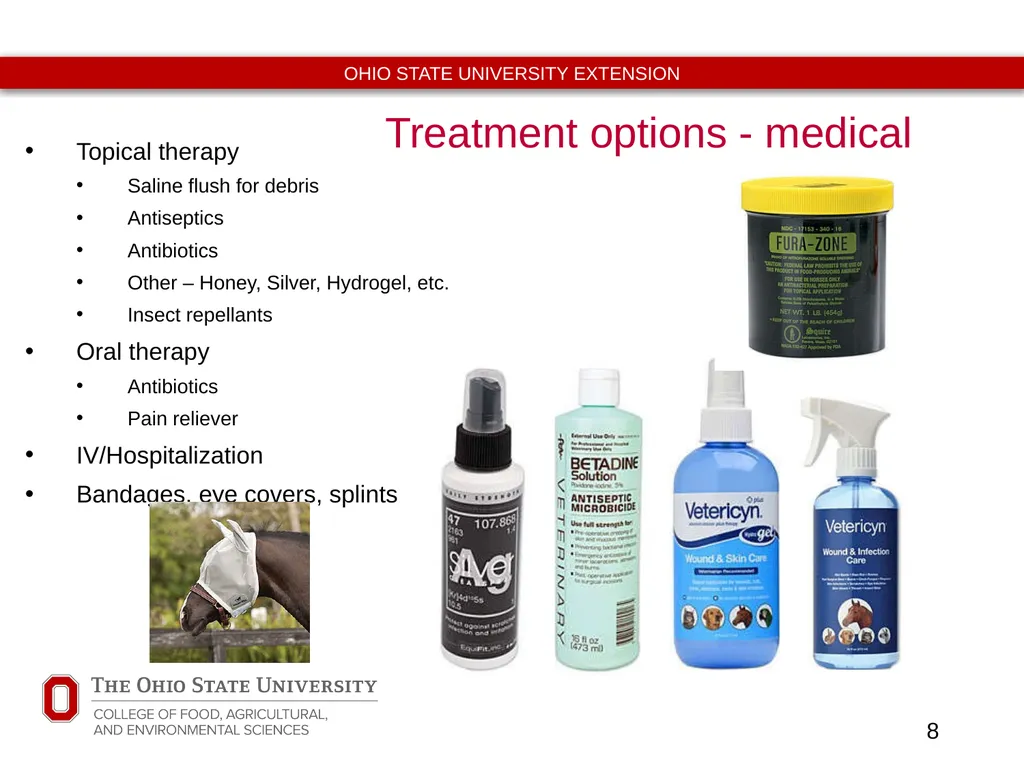 Basic Equine Wound Care Timothy McDermott DVM - slide 8 of 11