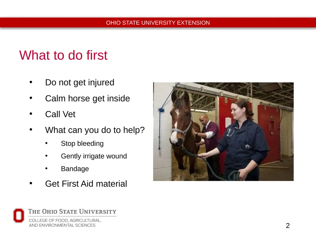Basic Equine Wound Care Timothy McDermott DVM - slide 2 of 11