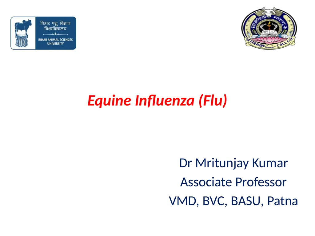 Equine Influenza (Flu) Dr Mritunjay Kumar - slide 1 of 10
