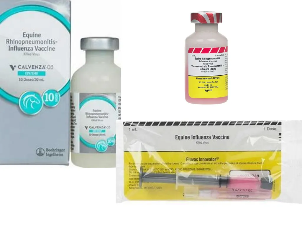 Equine Influenza (Flu) Dr Mritunjay Kumar - slide 8 of 10