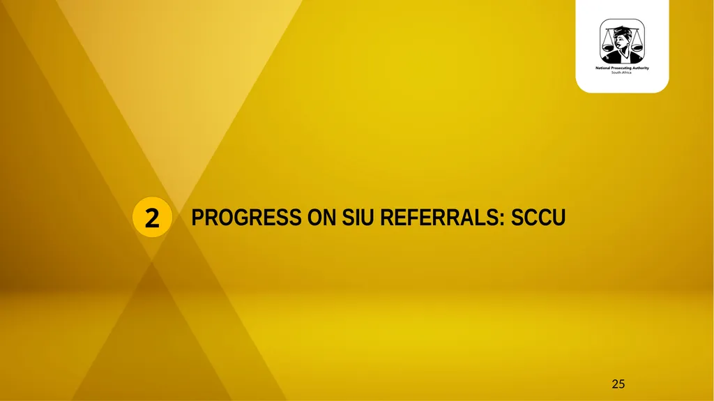 20 November 2024 SIU REFERRALS TO NPA PRESENTATION - slide 25 of 60
