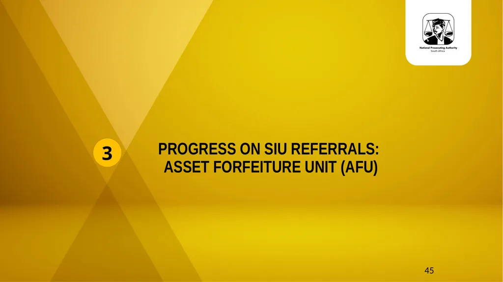 20 November 2024 SIU REFERRALS TO NPA PRESENTATION - slide 45 of 60