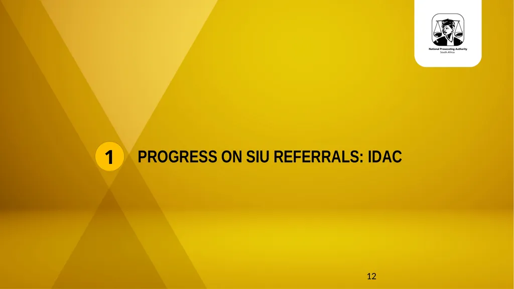 20 November 2024 SIU REFERRALS TO NPA PRESENTATION - slide 12 of 60
