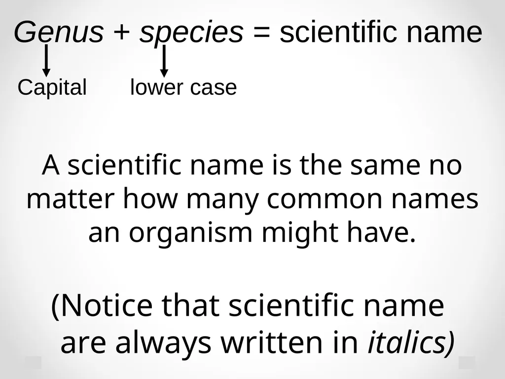 Classification Essential Question: How do - slide 12 of 43