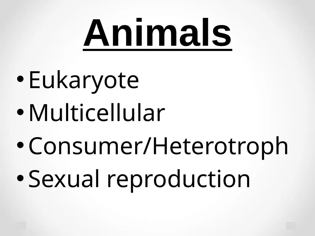Classification Essential Question: How do - slide 42 of 43