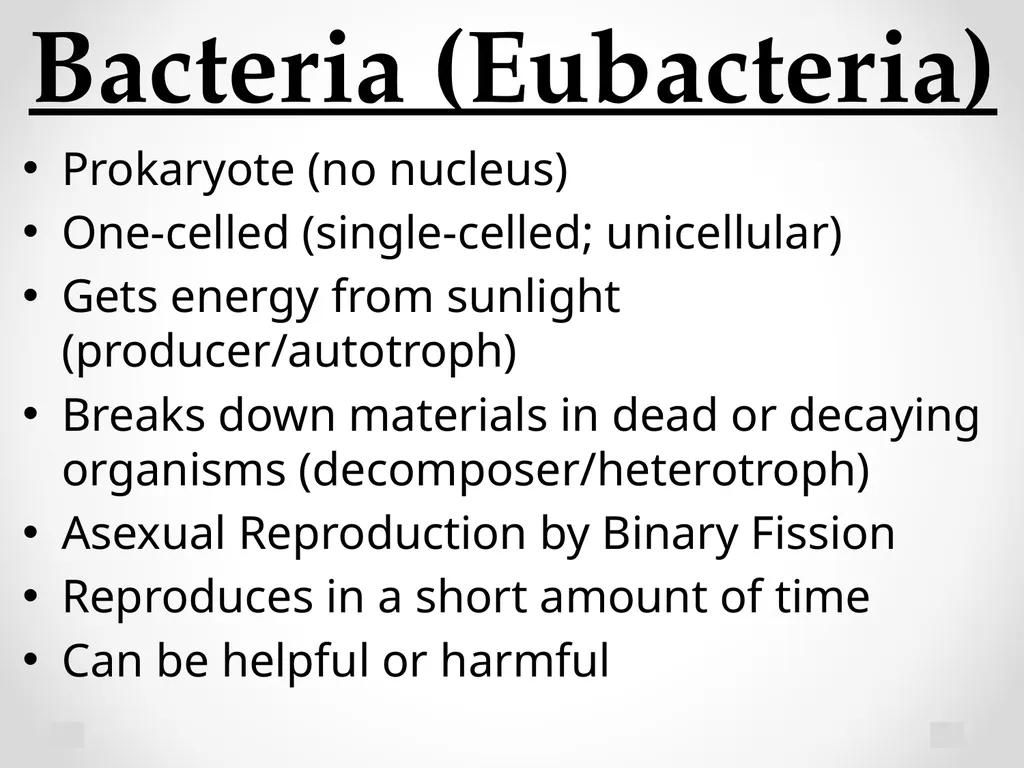 Classification Essential Question: How do - slide 30 of 43
