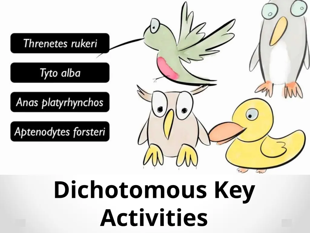 Classification Essential Question: How do - slide 22 of 43