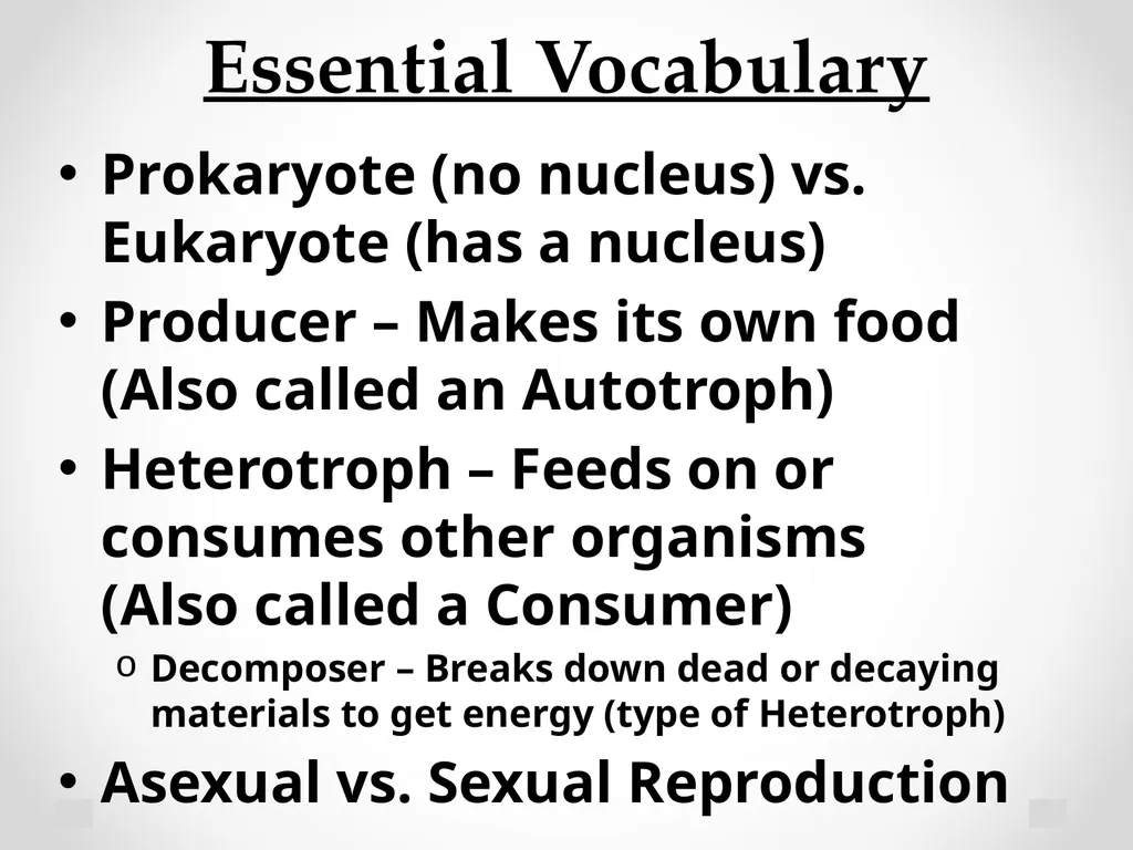Classification Essential Question: How do - slide 27 of 43