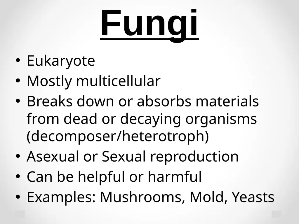 Classification Essential Question: How do - slide 38 of 43