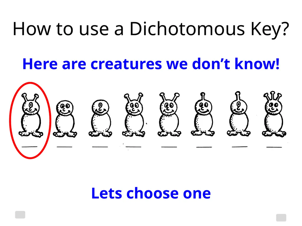 Classification Essential Question: How do - slide 16 of 43
