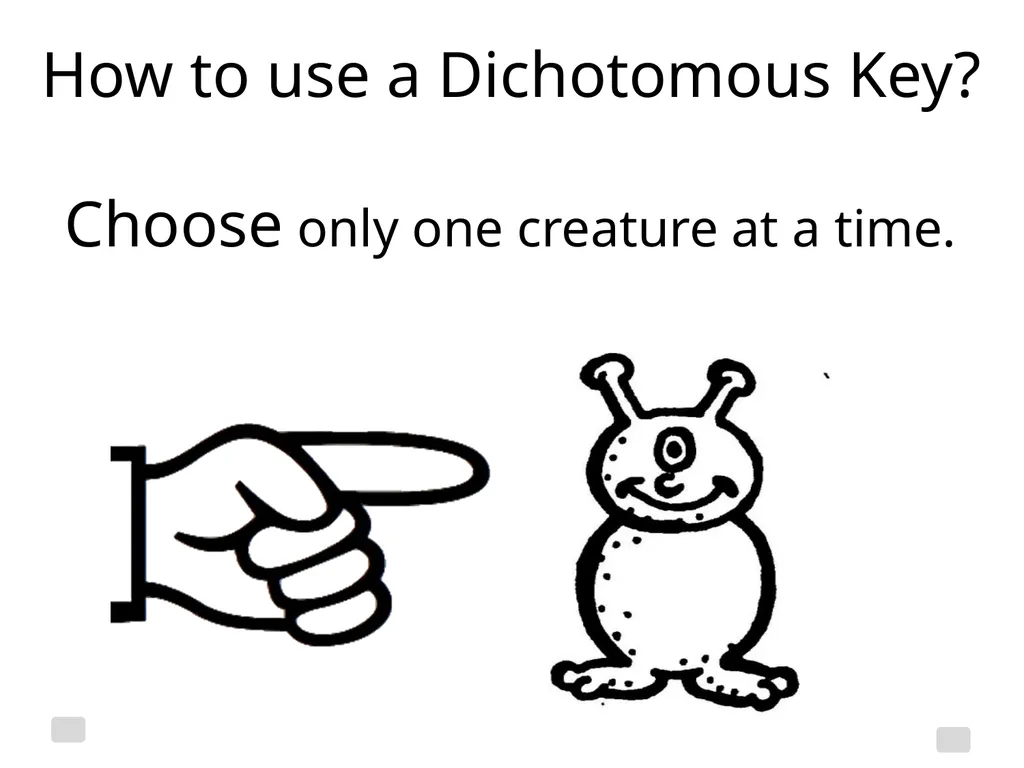 Classification Essential Question: How do - slide 17 of 43