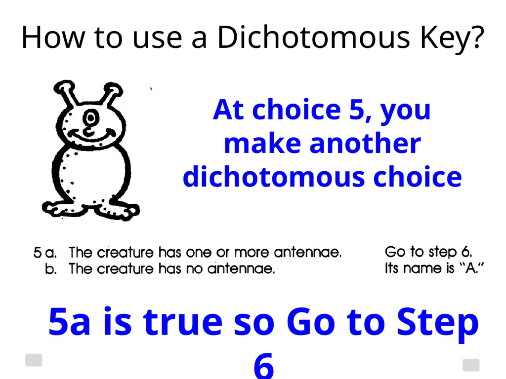Classification Essential Question: How do - slide 20 of 43