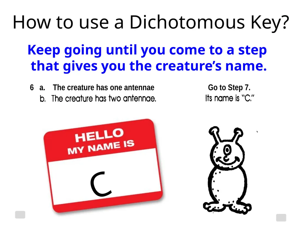 Classification Essential Question: How do - slide 21 of 43