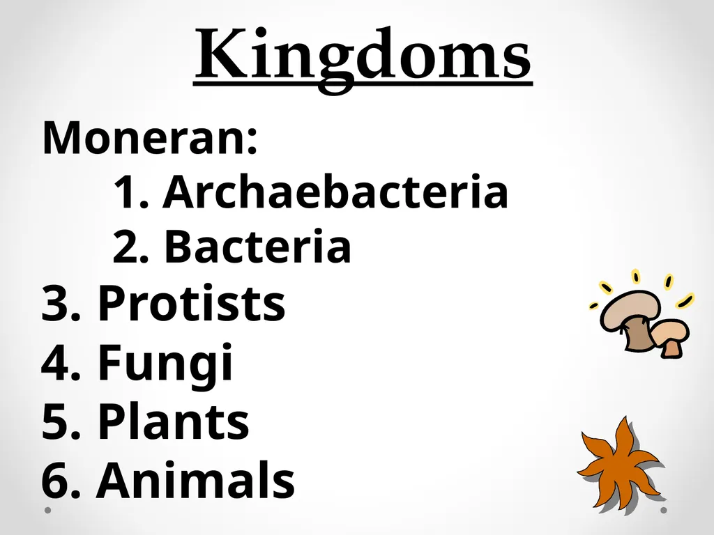 Classification Essential Question: How do - slide 24 of 43