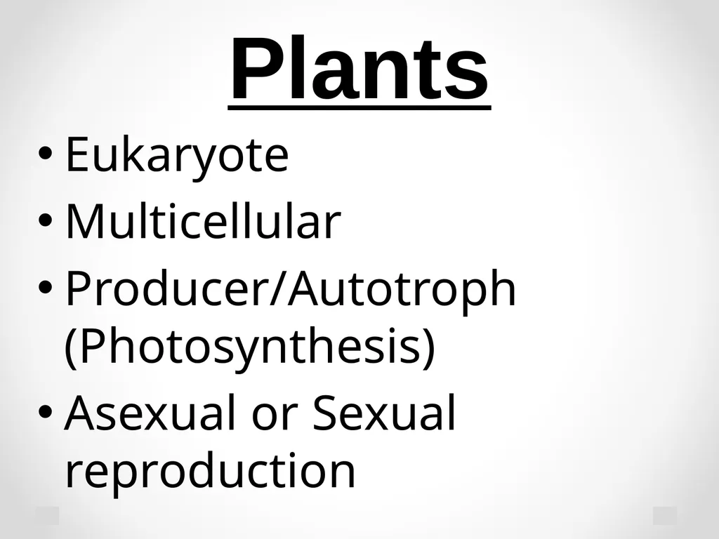 Classification Essential Question: How do - slide 41 of 43