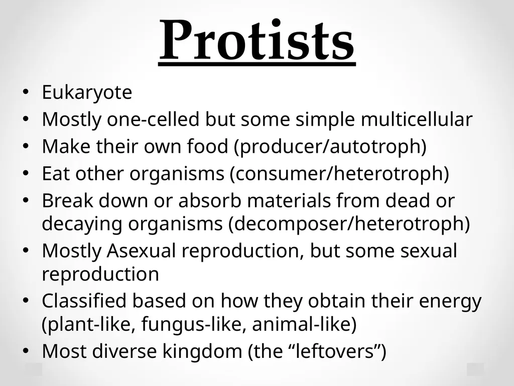 Classification Essential Question: How do - slide 35 of 43