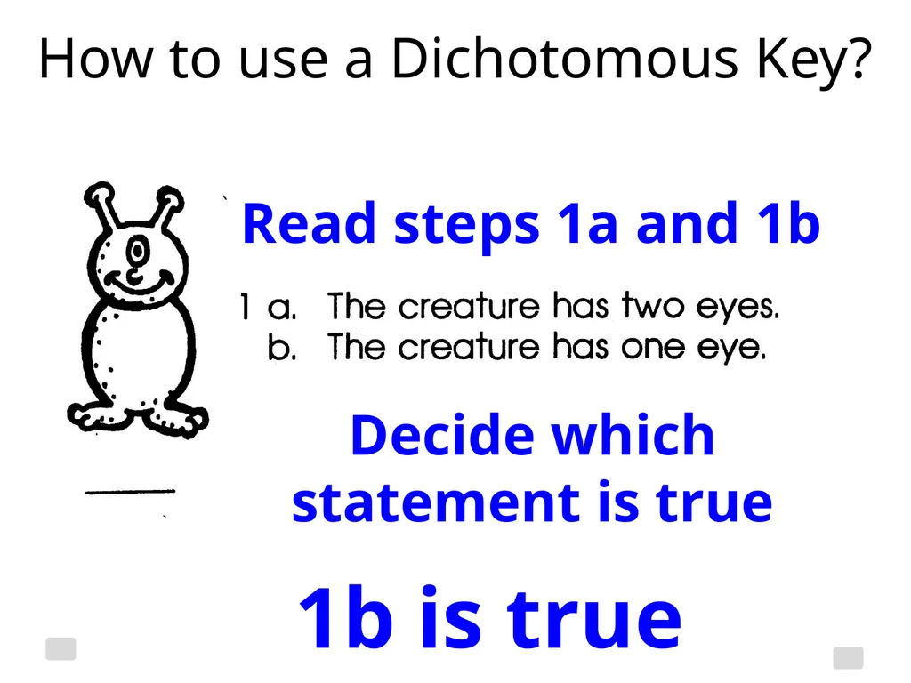 Classification Essential Question: How do - slide 18 of 43