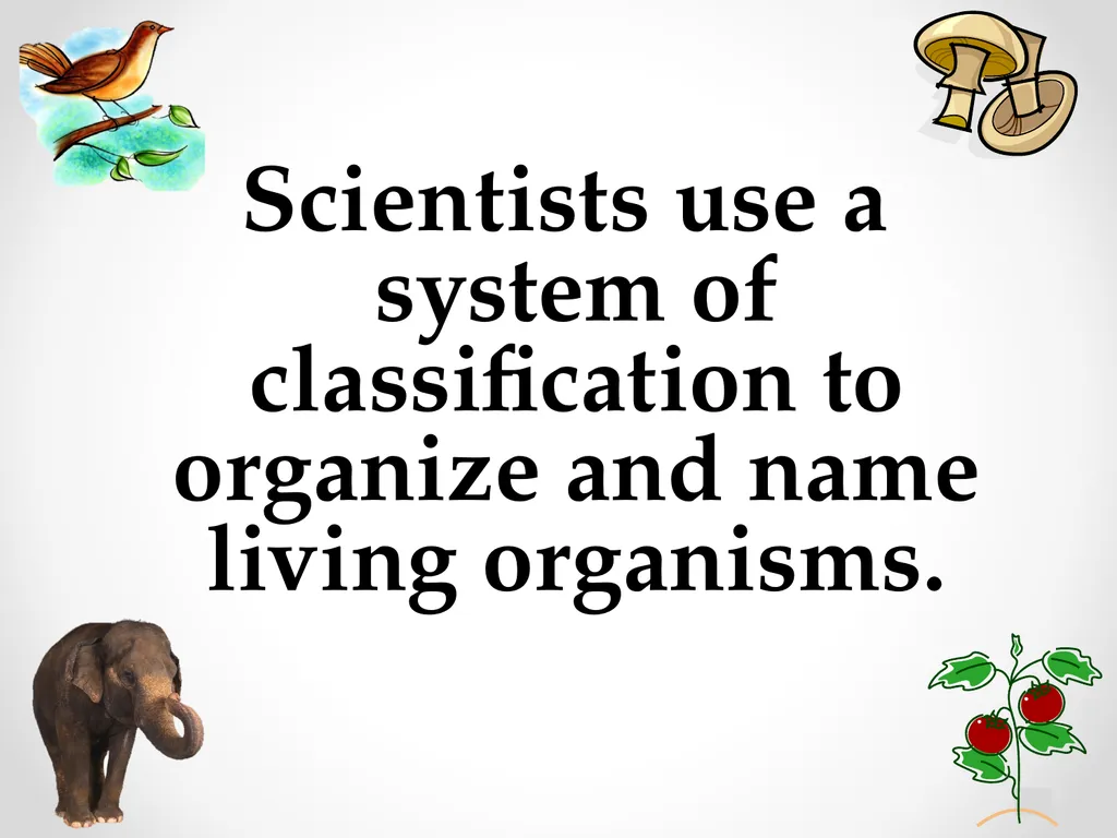 Classification Essential Question: How do - slide 6 of 43