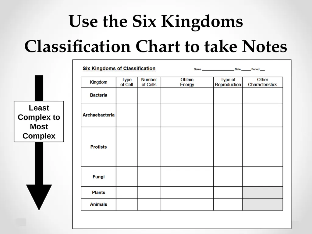 Classification Essential Question: How do - slide 28 of 43
