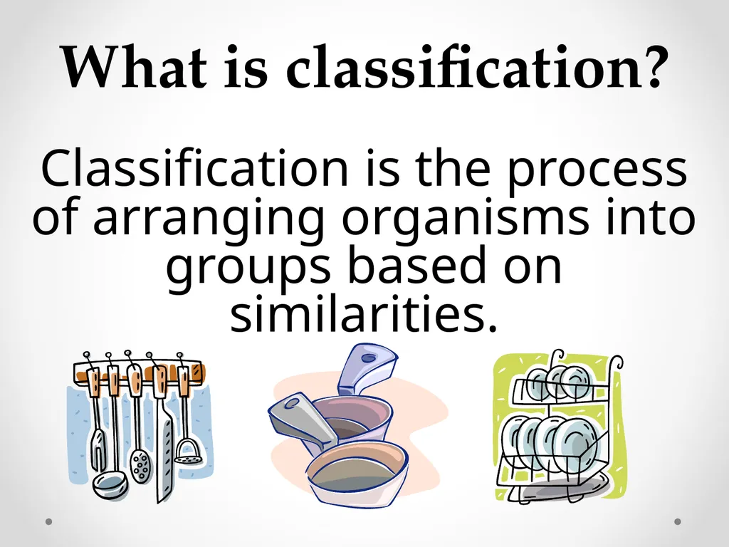 Classification Essential Question: How do - slide 4 of 43