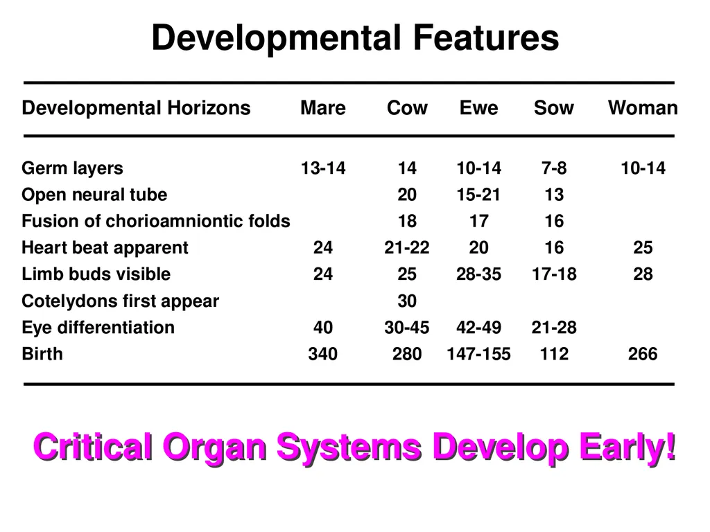 Pregnancy and Fetal Development John J. Parrish - slide 5 of 27