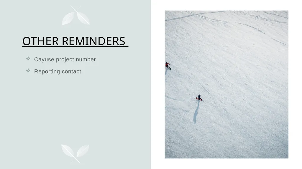 PROPOSAL & AWARD UPDATES _________________ - slide 4 of 5