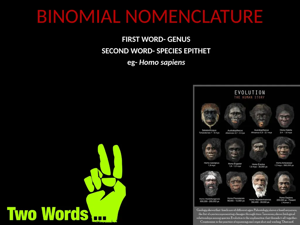 Taxonomy and Binomial Nomenclature Dr. DEEPAK - slide 13 of 23