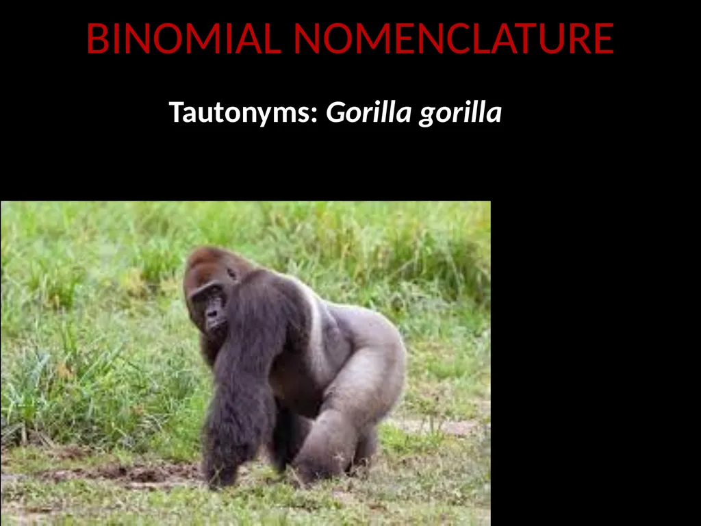 Taxonomy and Binomial Nomenclature Dr. DEEPAK - slide 20 of 23