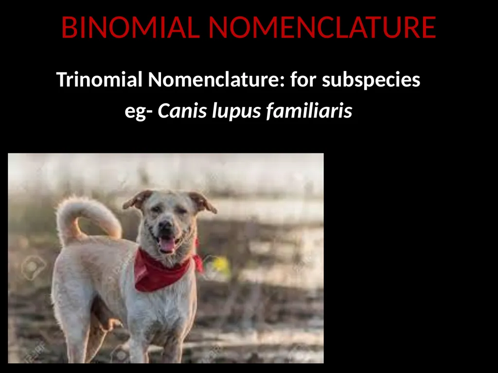 Taxonomy and Binomial Nomenclature Dr. DEEPAK - slide 21 of 23