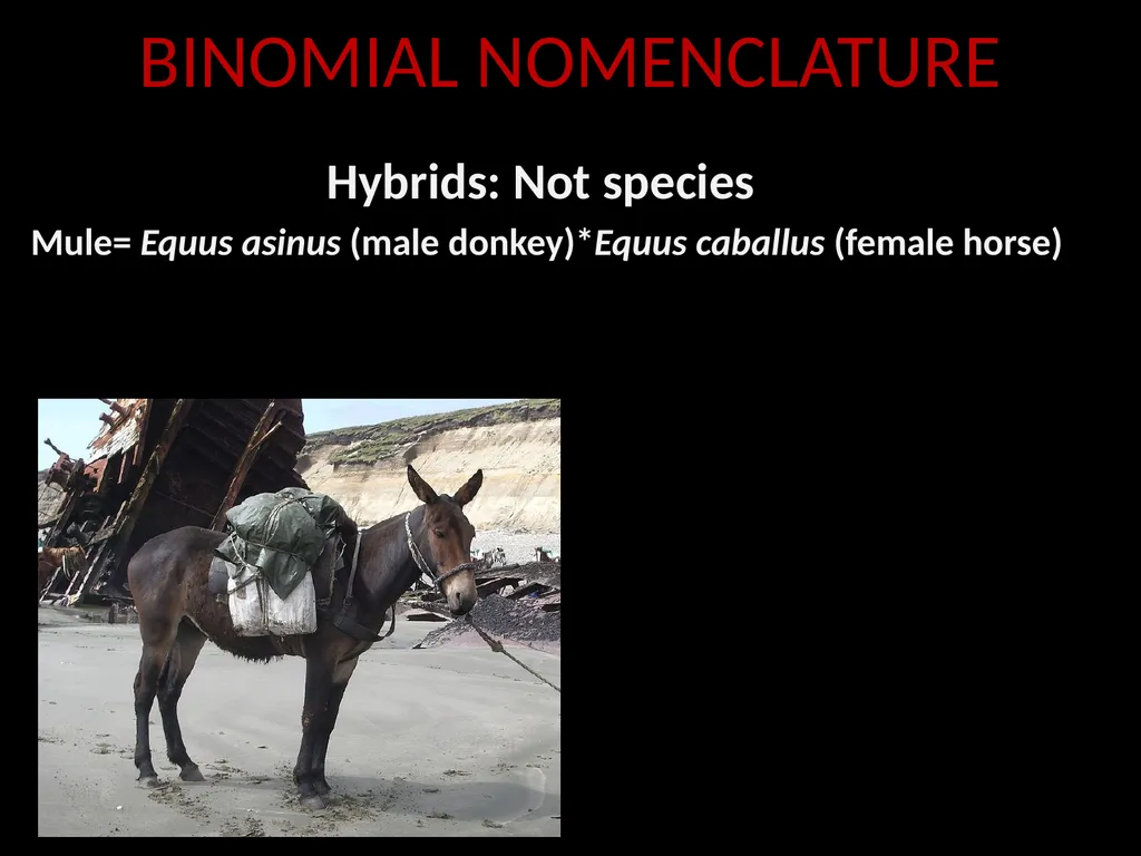 Taxonomy and Binomial Nomenclature Dr. DEEPAK - slide 22 of 23