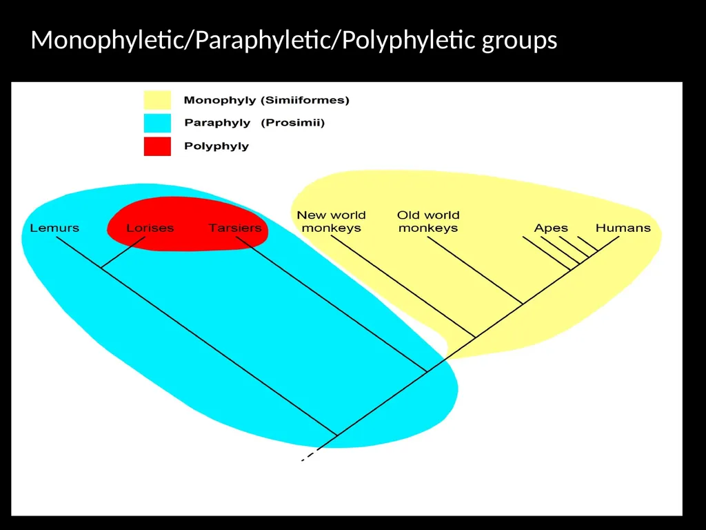 Taxonomy and Binomial Nomenclature Dr. DEEPAK - slide 10 of 23