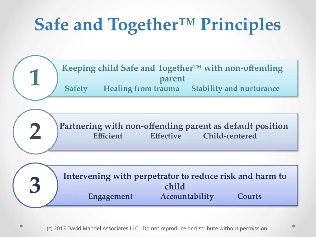 the Safe and Together™ model: A Perpetrator - slide 14 of 23