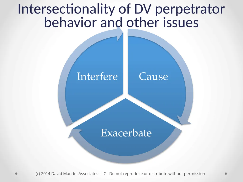 the Safe and Together™ model: A Perpetrator - slide 10 of 23
