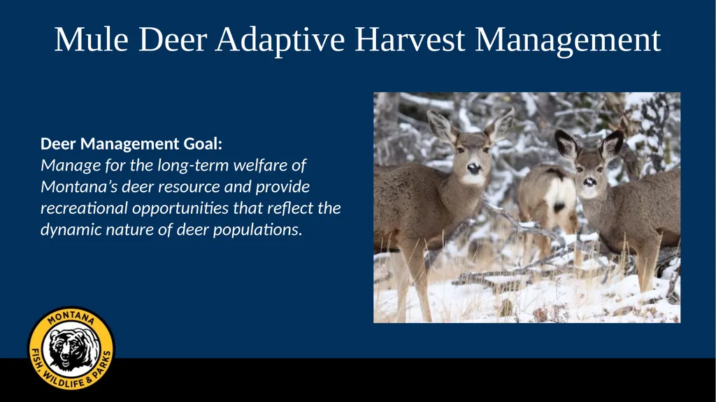 Mule Deer Adaptive Harvest Management Deer - slide 1 of 39