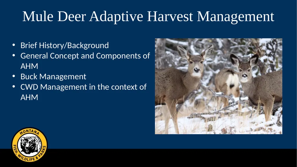 Mule Deer Adaptive Harvest Management Deer - slide 2 of 39