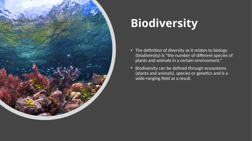 Unit 4 - Organizing Biodiversity Unit 5 - - slide 6 of 39