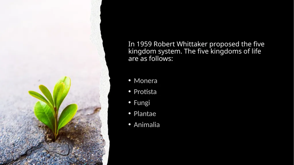 Unit 4 - Organizing Biodiversity Unit 5 - - slide 16 of 39