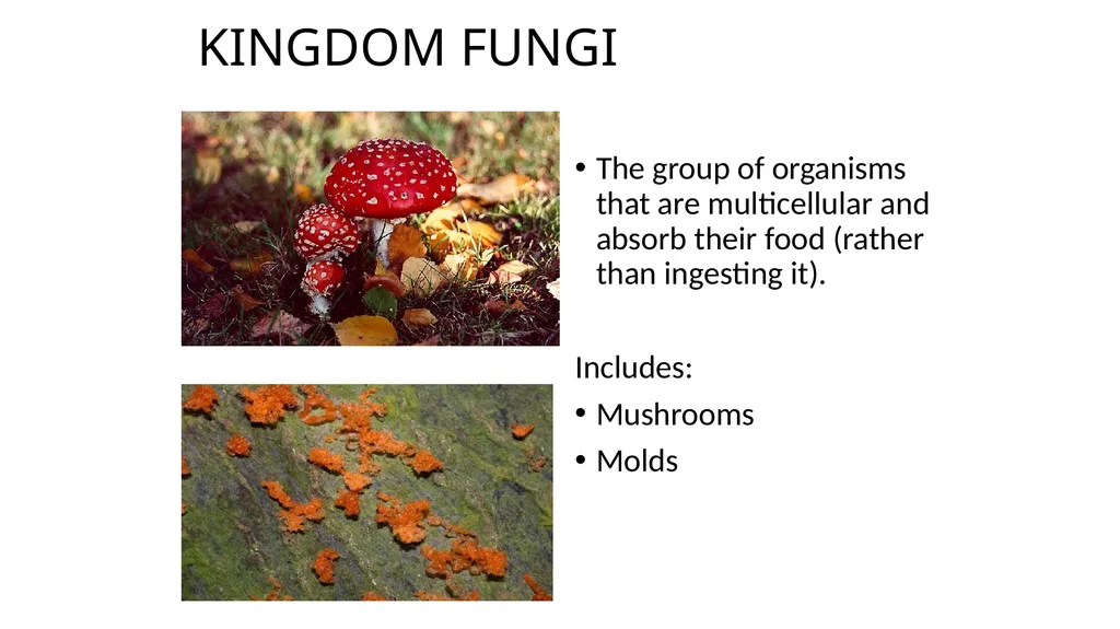 Unit 4 - Organizing Biodiversity Unit 5 - - slide 28 of 39