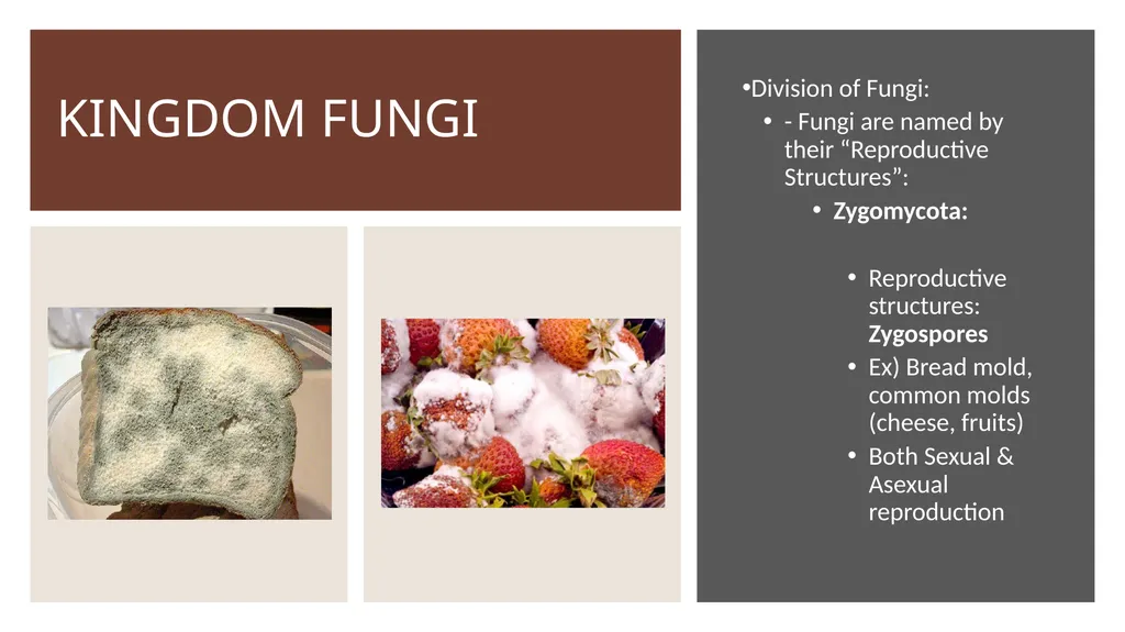 Unit 4 - Organizing Biodiversity Unit 5 - - slide 30 of 39