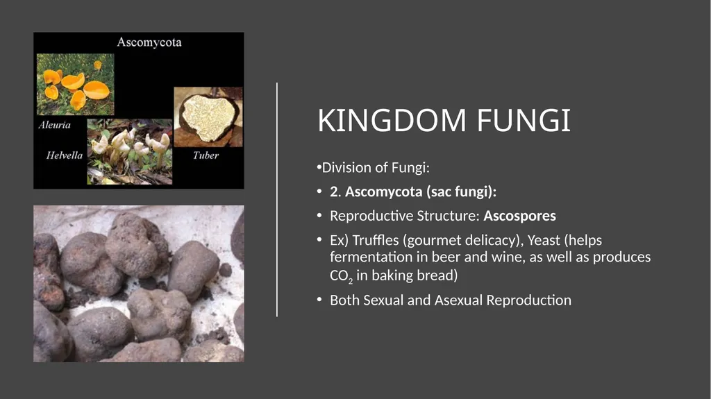 Unit 4 - Organizing Biodiversity Unit 5 - - slide 31 of 39