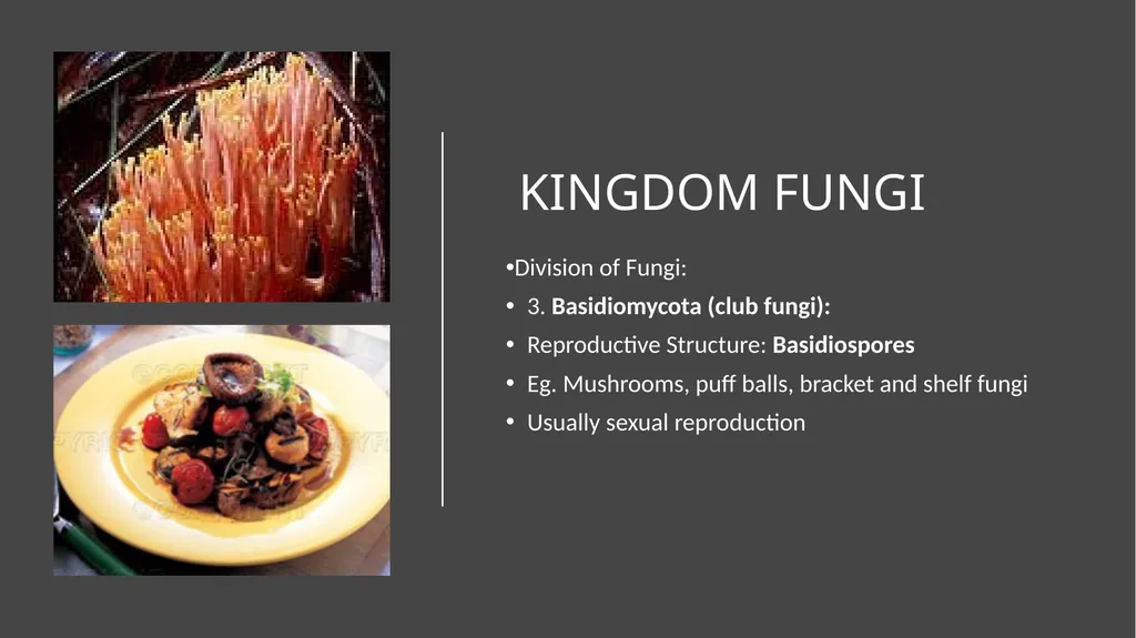 Unit 4 - Organizing Biodiversity Unit 5 - - slide 32 of 39