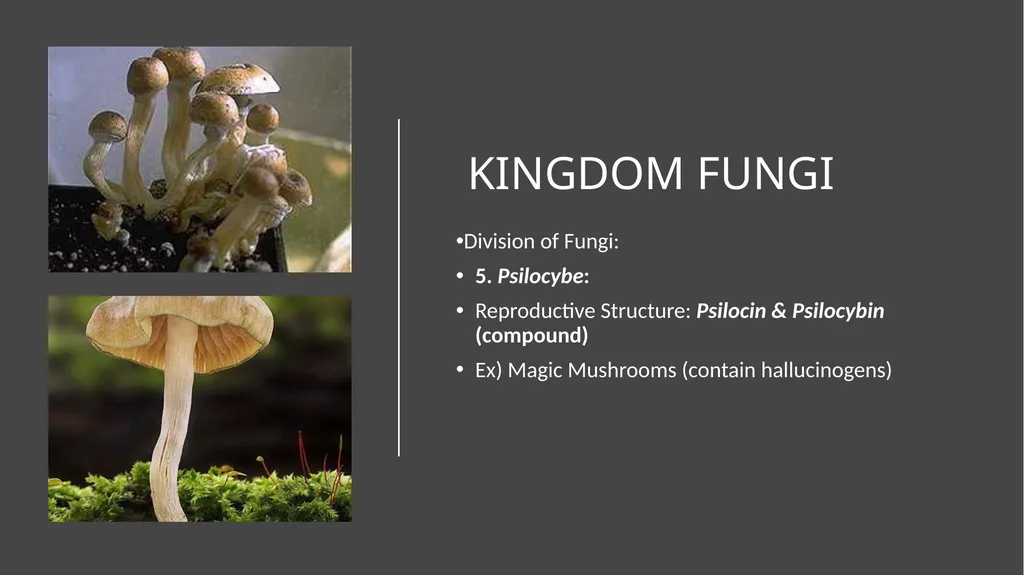 Unit 4 - Organizing Biodiversity Unit 5 - - slide 34 of 39