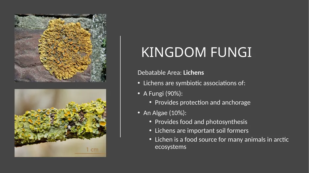 Unit 4 - Organizing Biodiversity Unit 5 - - slide 37 of 39