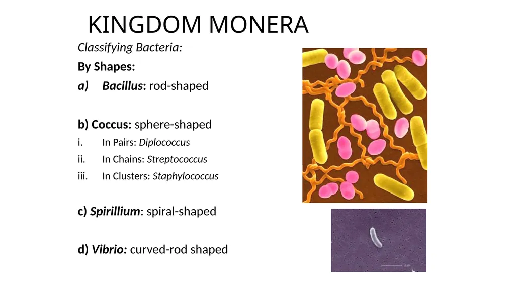 Unit 4 - Organizing Biodiversity Unit 5 - - slide 20 of 39